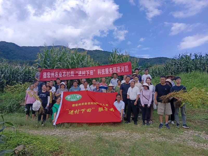 ae887028509ff34dbe45af5b2025d8d