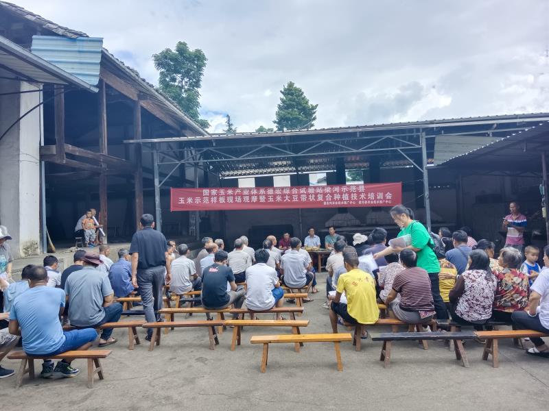 b05bf24ca5e16e0c42a6a4440819c10