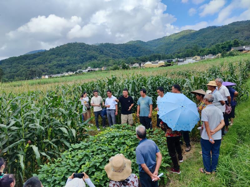 6251750b16e46ff48df0134db73b121