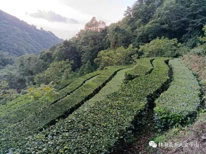 微信图片_20211231110622