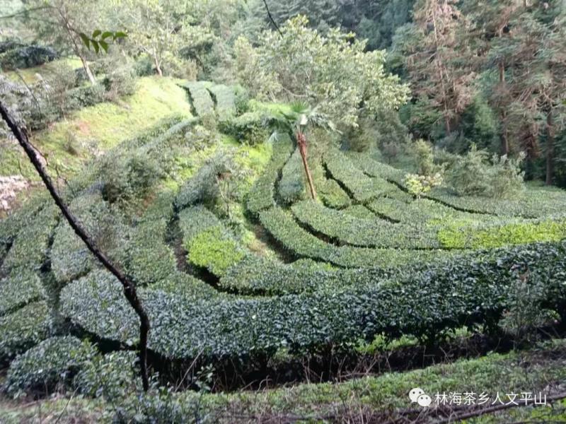 微信图片_20211231110629