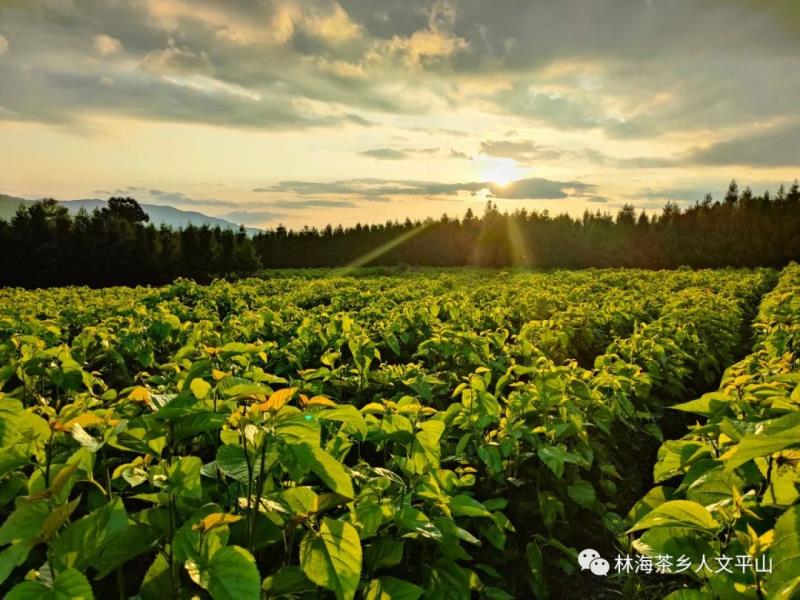 微信图片_20220424085820