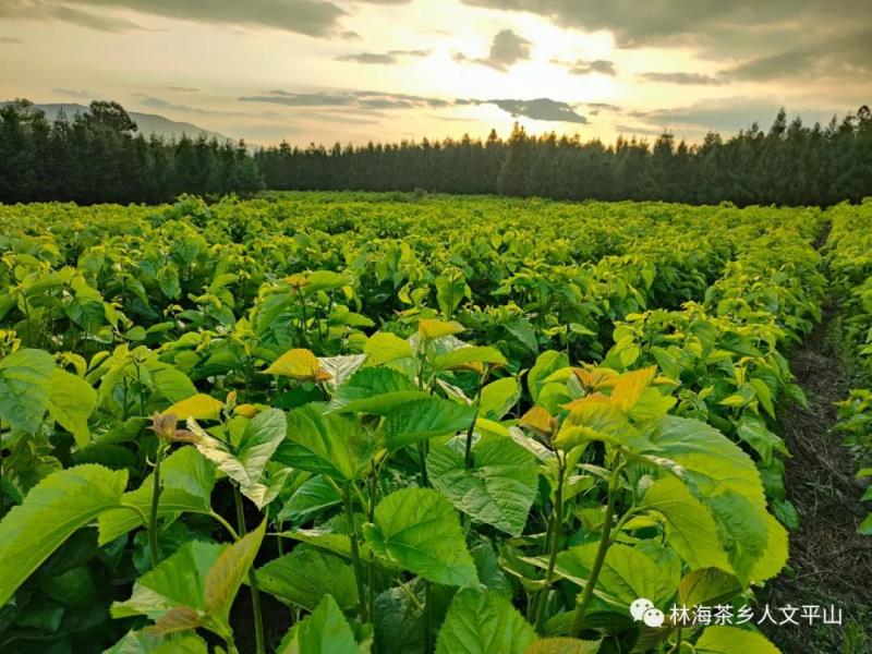 微信图片_20220424085828