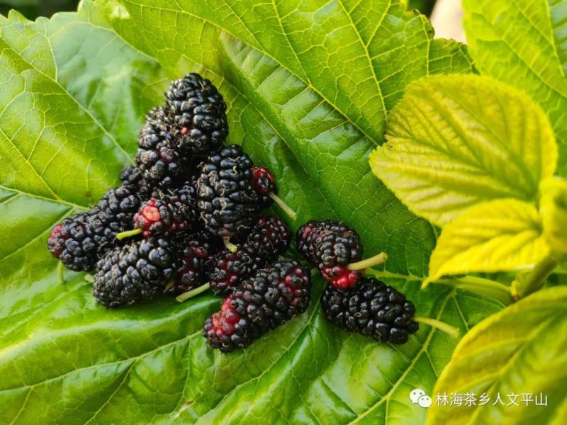 微信图片_20220424085835