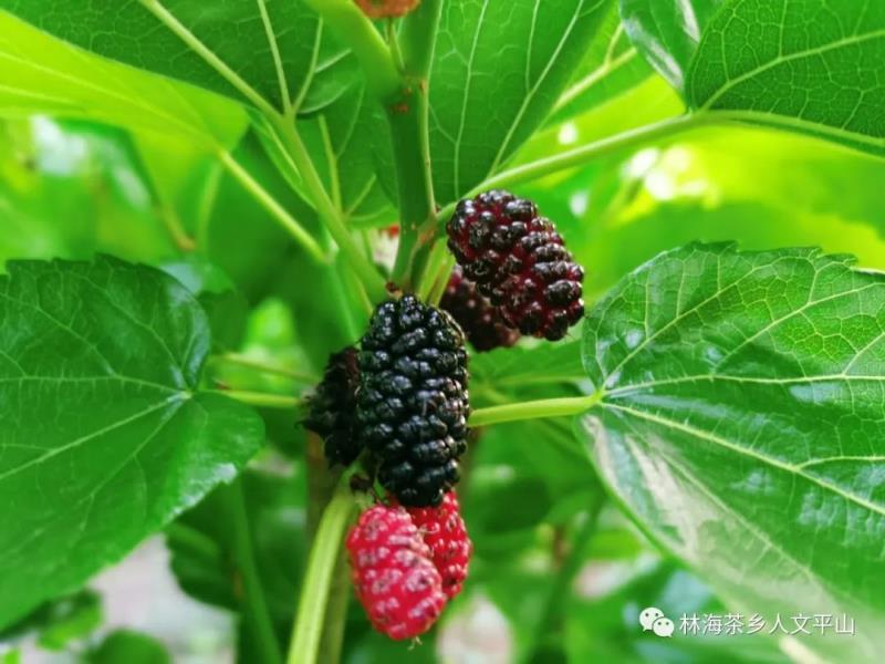 微信图片_20220424085841