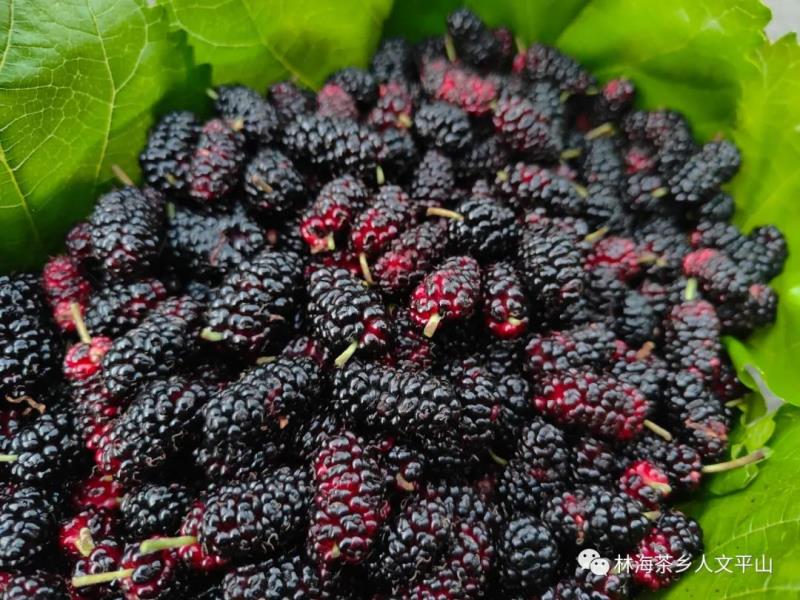 微信图片_20220424085902