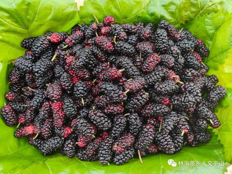 微信图片_20220424085910