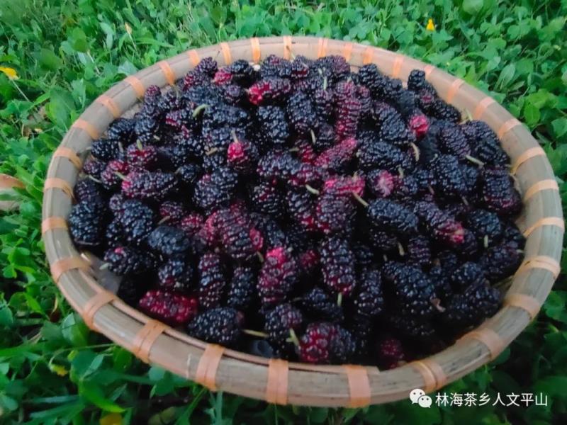 微信图片_20220424085920