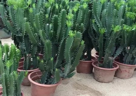 微信图片_20220620160606