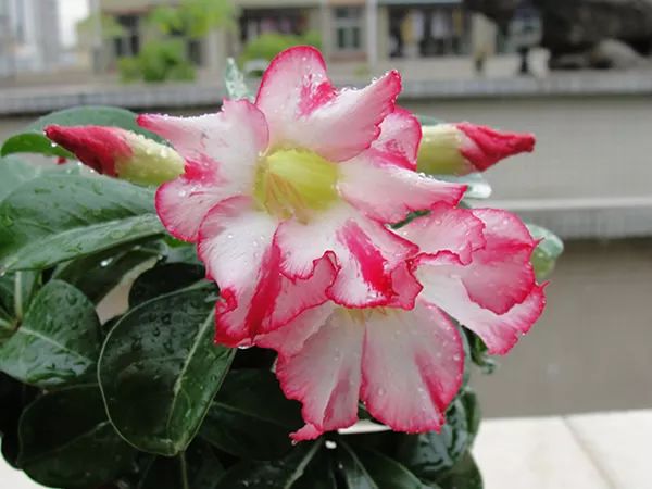 微信图片_20220620160623