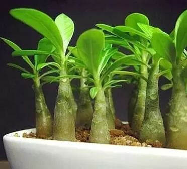 微信图片_20220620160627