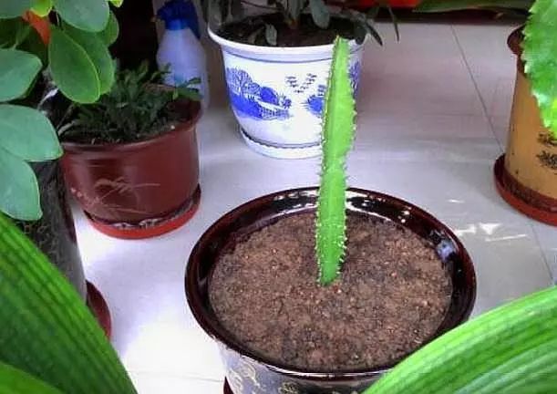 微信图片_20220620160638