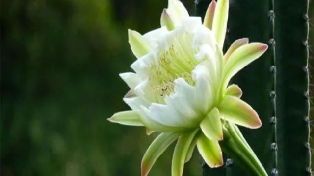 微信图片_20220620160642