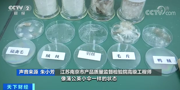 微信图片_20221107154138