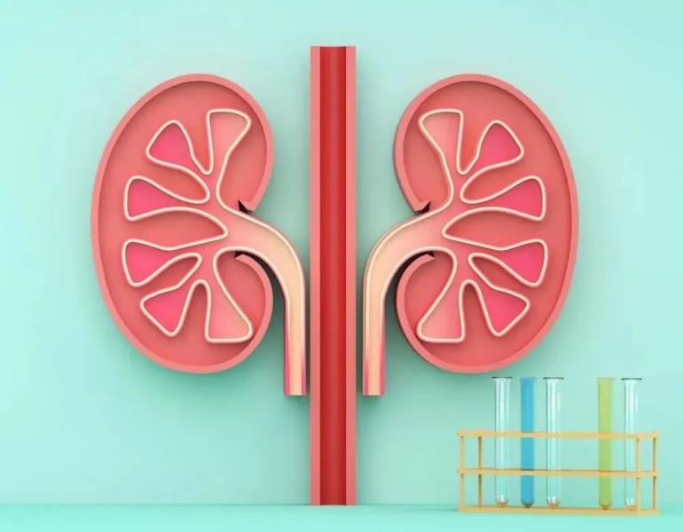 微信图片_20221111112807