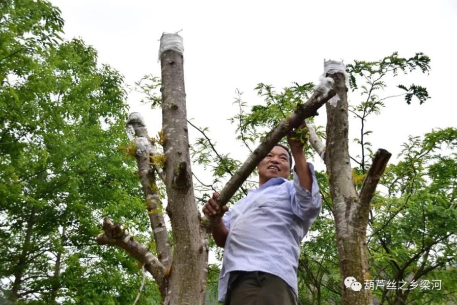 微信图片_20221118093129