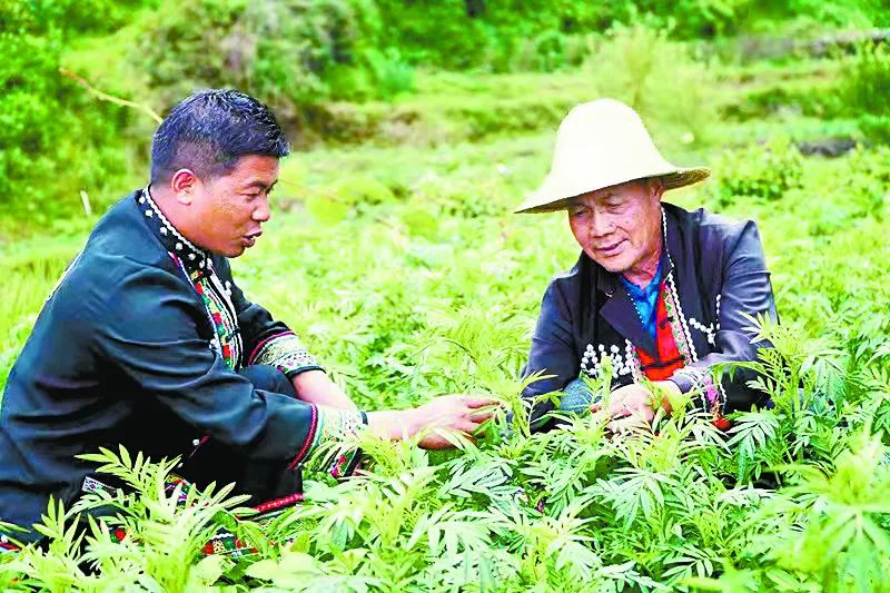 微信图片_20221009085339