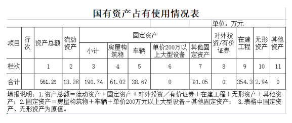 国有资产占有使用情况表