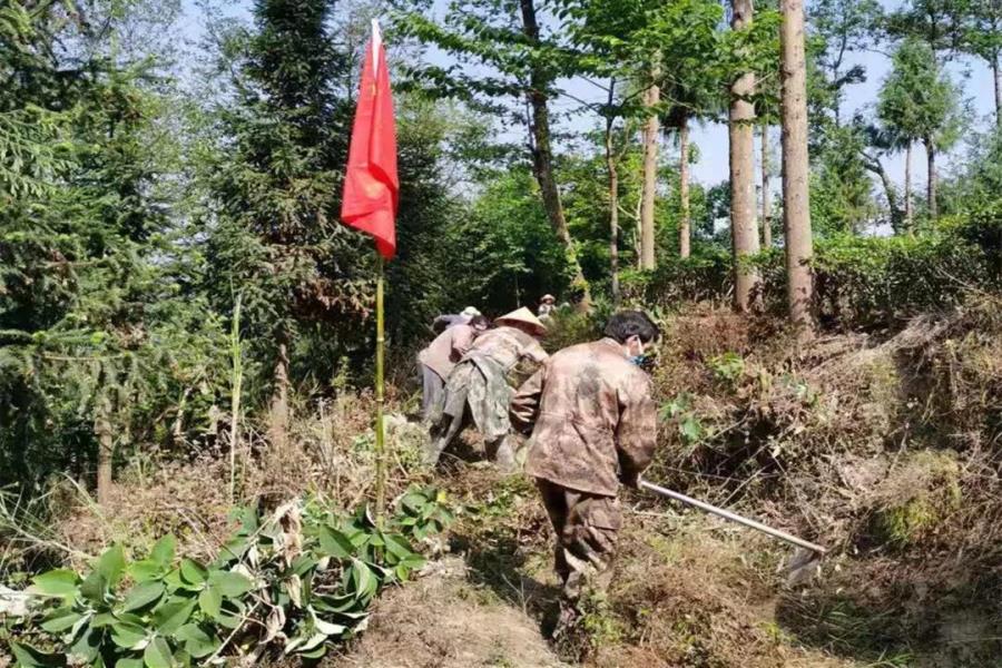 微信图片_20210512155600