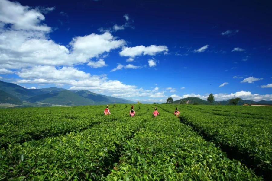 微信图片_20210809113151