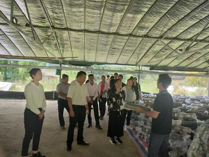 微信图片_20220831155339