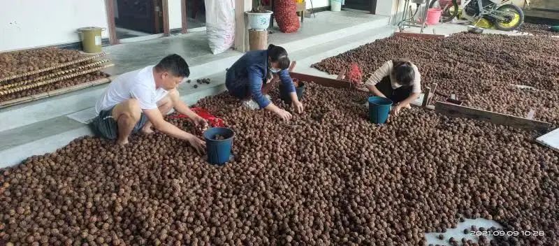 微信图片_20221009084953