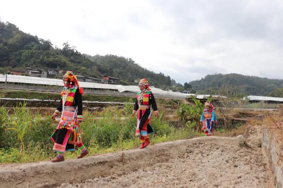 微信图片_20221202085246