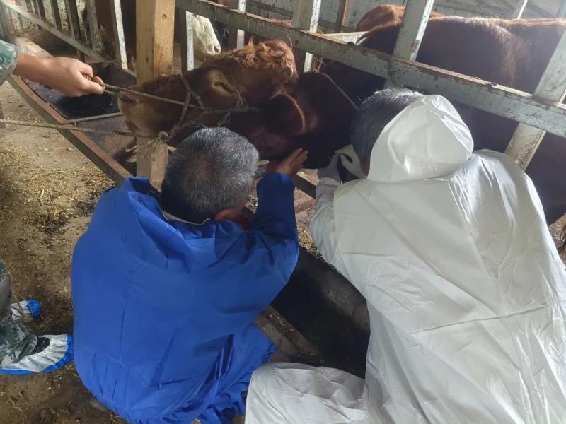 微信图片_20230324084502