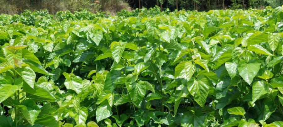 微信图片_20230616094906