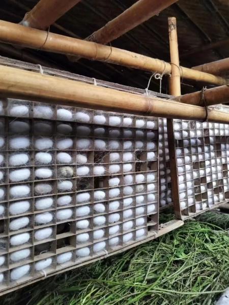 微信图片_20230616094911