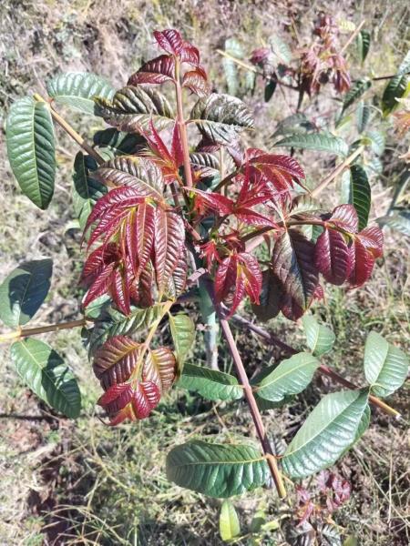 微信图片_20230616094915