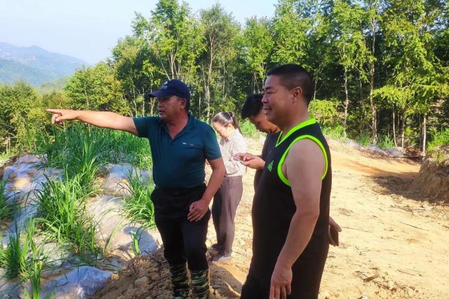 微信图片_20230616095132