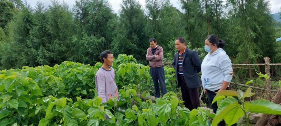 微信图片_20230616095140