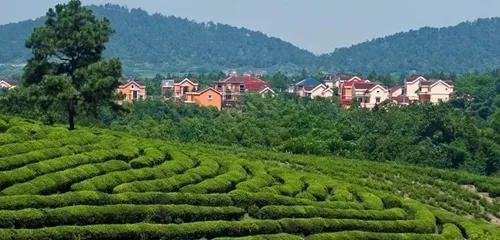 微信图片_20210125160046