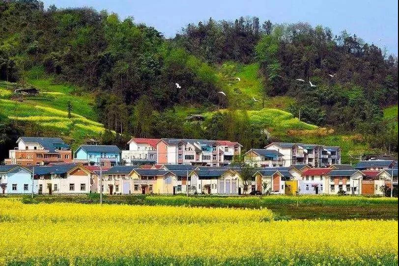 微信图片_20210126164757